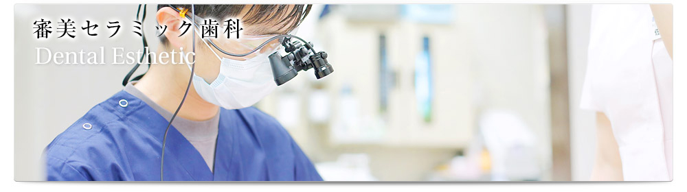 Esthetics / 審美セラミック歯科