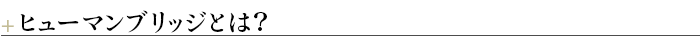 ＋ヒューマンブリッジとは？